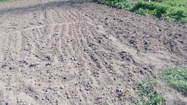 После посевной можно душевно отдохнуть.#дача #теплица смотреть онлайн