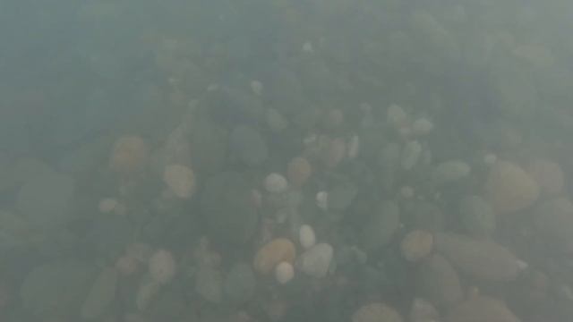 В море с головой смотреть онлайн