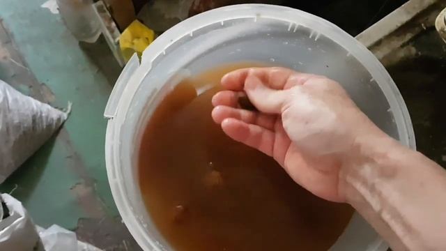 ВАРЕНЬЕ ИЗ АБРИКОС ЛЕТНИЙ САЛАТ.СУШУ АБРИКОСЫ НА КУРА?