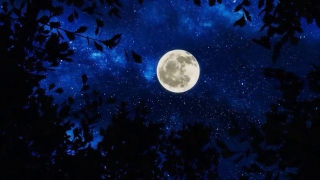 ДВАДЦАТЬ ВОСЬМОЙ ЛУННЫЙ ДЕНЬ 26 АПРЕЛЯ.