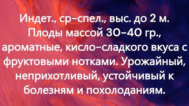 ТОМАТЫ. Каталог томатов - НОВИНОК 2024 г. Часть 5. г. Киров смотреть онлайн