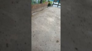 сегодня нас накрыло градом град в Краснодарском крае