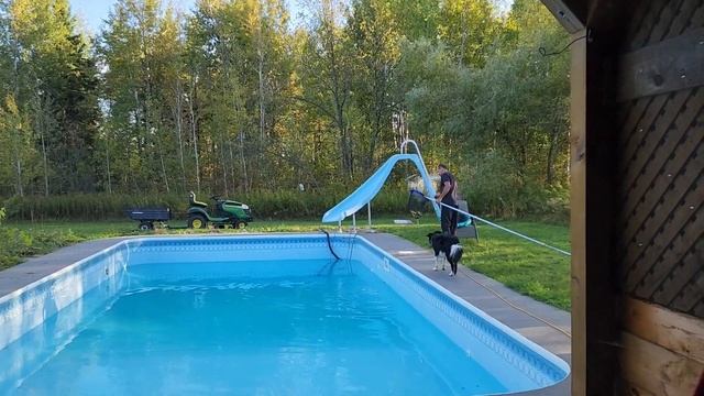 сбор картошки .сентябрь