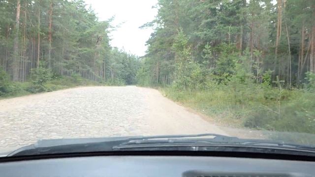 Дорога на Тисколово (Кургальский заповедник)