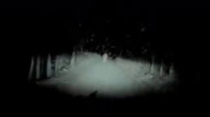 Японский видеорегистратор