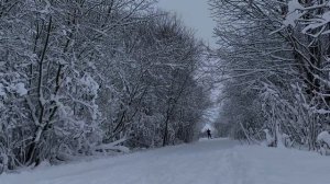 Беговые лыжи Nordway RS Combi Rossingnol Delta Comp