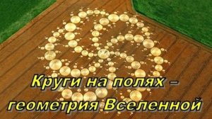 «Круги» на полях – внеземные технологии высокоразвитых цивилизаций