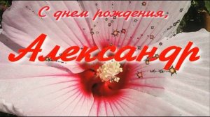 С ДНЁМ РОЖДЕНИЯ, АЛЕКСАНДР