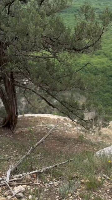 мото улетел в овраг смотреть онлайн