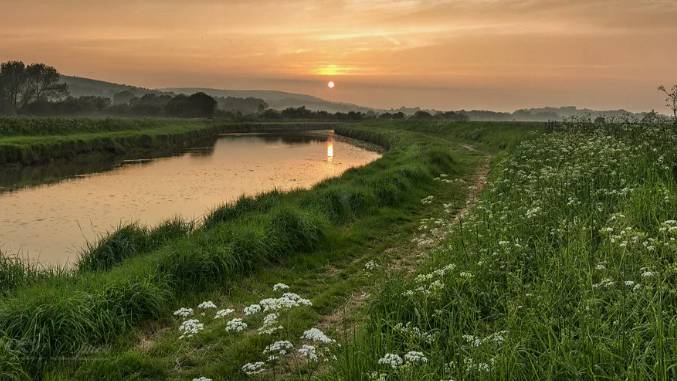 БАРБОСКИН КУПАЕТСЯ НА РЕЧКЕ смотреть онлайн