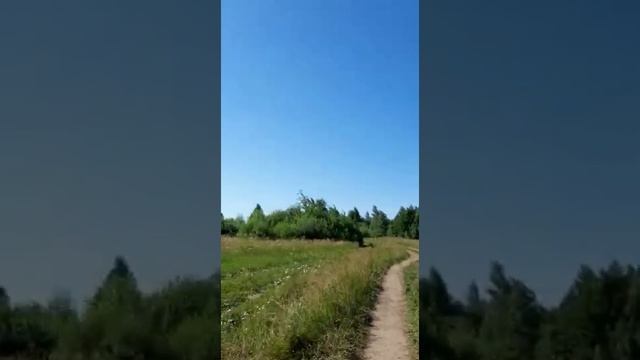 Еду к КОРОВАМ на ЛУГ! На Stels 400!!!
