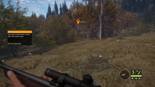 The Hunter Call of the Wild#1 - Начнем с начала смотреть онлайн