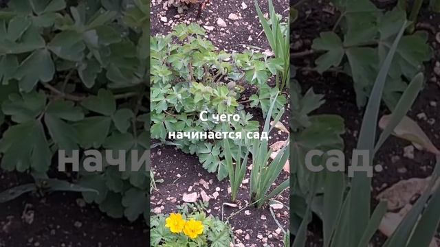 24 апреля 2025 г.