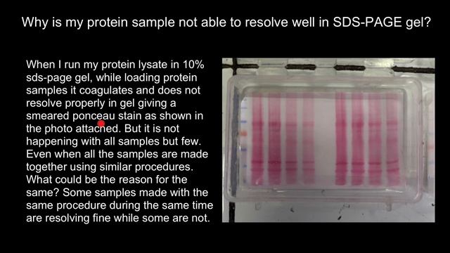Why protein sample is not able to resolve well in SDS-PAGE gel? смотреть онлайн
