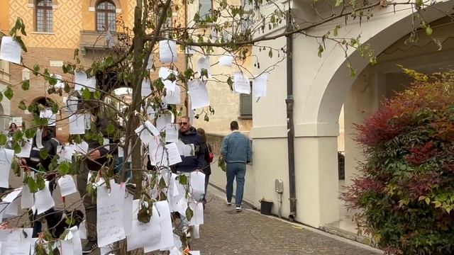 Цветочный сад в городе Одерцо Италия.Декор для дома,би