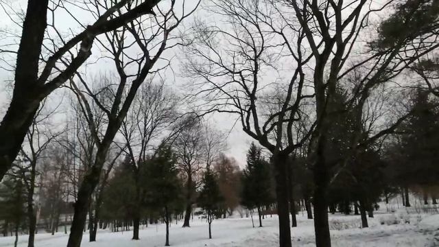 2022.12.24. Погода Петербург. 10:30. - 2°. Очень скользко. День в