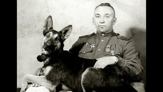 #Я_горжусь!_80