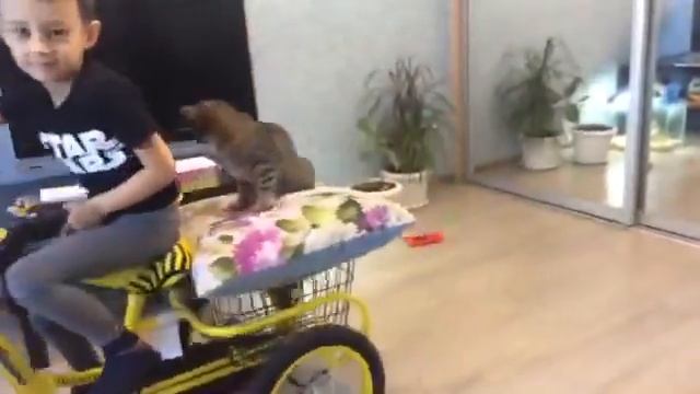 Персик и Даниэль