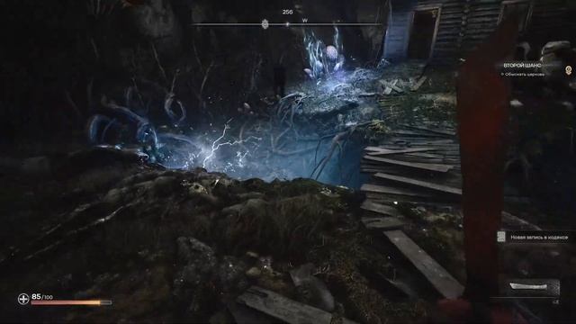 PIONER | Бета | 4060| Без комментариев