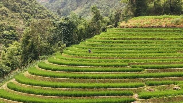 Sapa, Vietnam. Рисовые поля Вьетнама #travel #sapa #vietnam #nature #relaxing