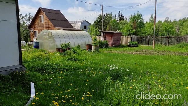 Дача смотреть онлайн