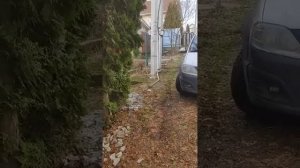 Правила пользования территориями общего пользования, т.ч. дорогой