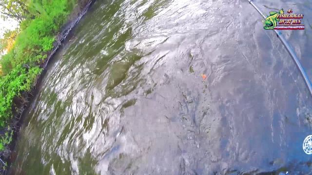 Рыбалка на Хариуса, в день Независимости 12. 06.25г. РЫБАЛКА НА ГОРНЫХ РЕКАХ, ХАБАРОВСКОГО КРАЯ