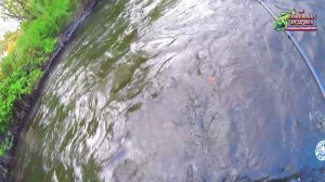 Рыбалка на Хариуса, в день Независимости 12. 06.25г. РЫБАЛКА НА ГОРНЫХ РЕКАХ, ХАБАРОВСКОГО КРАЯ