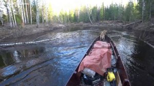 Медведь вышел на берег, не к добру. Предупредил меня об опасности. 10 серия