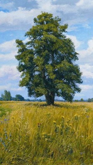 Посвящается Русским женщинам