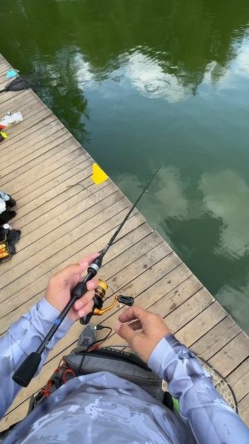 Голодная 😂 смотреть онлайн