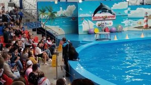 Дельфинарий