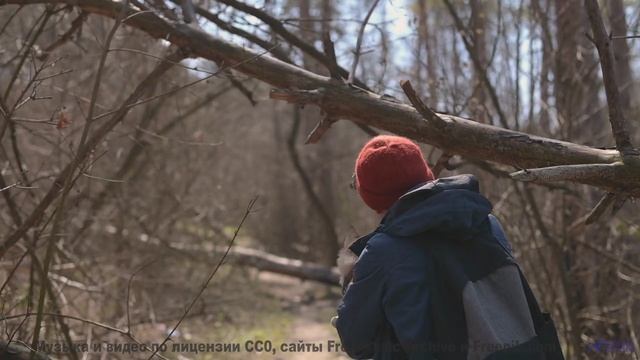 Пейзажи раскрываются вместе с каждой новой мелодией - Illusions Part 1 -- Vulpiano Records Artists -