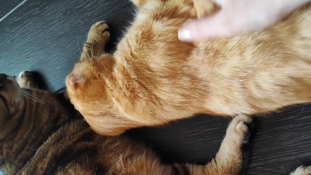 в ожидании обеда смотреть онлайн