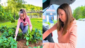 НЕ ДЛЯ СЛАБОНЕРВНЫХ! Боремся с вредителями на участке/ ВЫИГРАЛИ ПОДАРОК В КОНКУРСЕ /Нижний Новгород