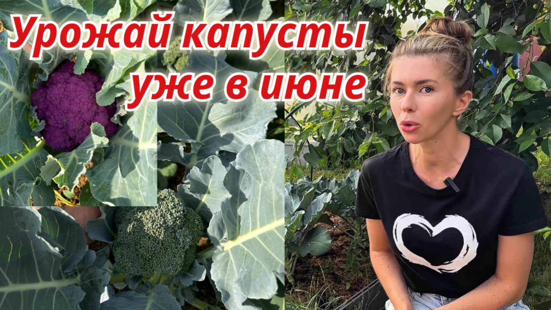 Уход за капустой для богатого урожая. Подкормки в июне для всех культур смотреть онлайн
