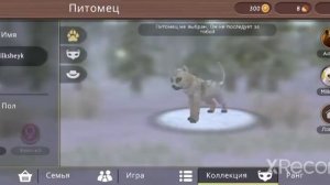 Как получить вилд клуб бесплатно? Это Реально работае?