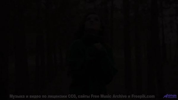 Готовы к адреналину Включайте и летите! - A Play on Words -- Les Hayden -- Home