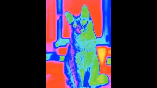 Психованные лица Анфисы 1 час 6 часть Турбо шаблон