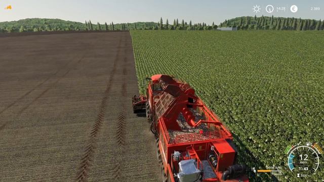 FS 19 • Карта Балдейкино № 43. Уборка свеклы по найму на б