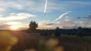 "Какая песня без баяна" (куплет в исполнении Т.Шишикиной. Автор О.Анофриев)