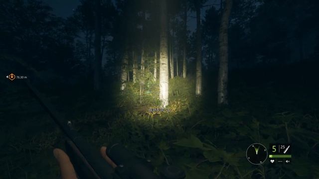 夜狩りはホラー(´Д`|||) theHunter: Call of the Wild 実況プレイ5 смотреть онлайн