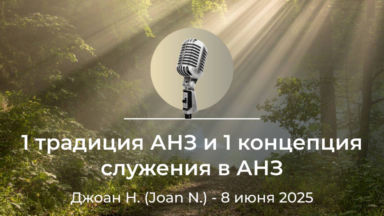 Спикерская АНЗ "1 традиция АНЗ и 1 концепция служения в АНЗ", Джоан Н. (Joan N.), 8 июня 2025 года смотреть онлайн