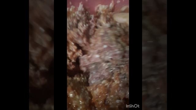 Տոլմա կաղամբով, Толма из молодой капусты с мясом и рис?