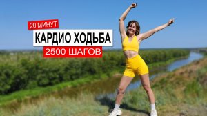 2500 шагов за 20 минут — кардио-тренировка дома | Физкультурница