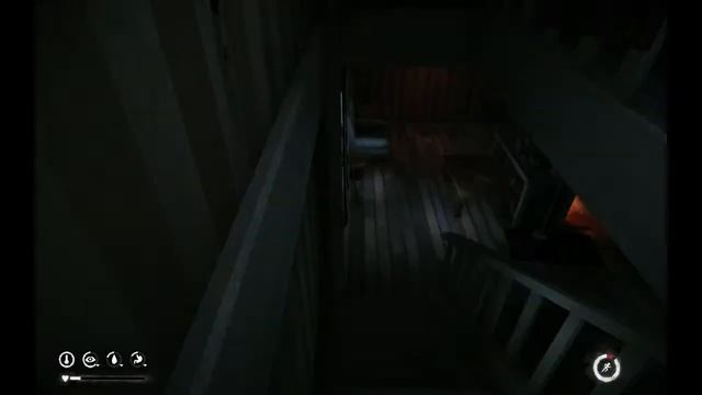 Первый день зимы.... The long dark