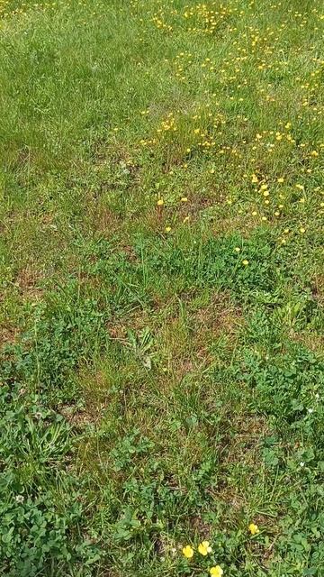 Что это ? смотреть онлайн