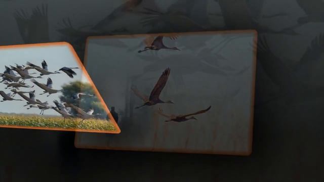 Umaro - Журавли Dj Ikonnikov Remix mp3_034255.mp4 смотреть онлайн