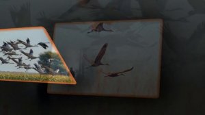 Umaro - Журавли Dj Ikonnikov Remix mp3_034255.mp4