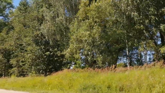 Великие Луки. По дороге к Пскову